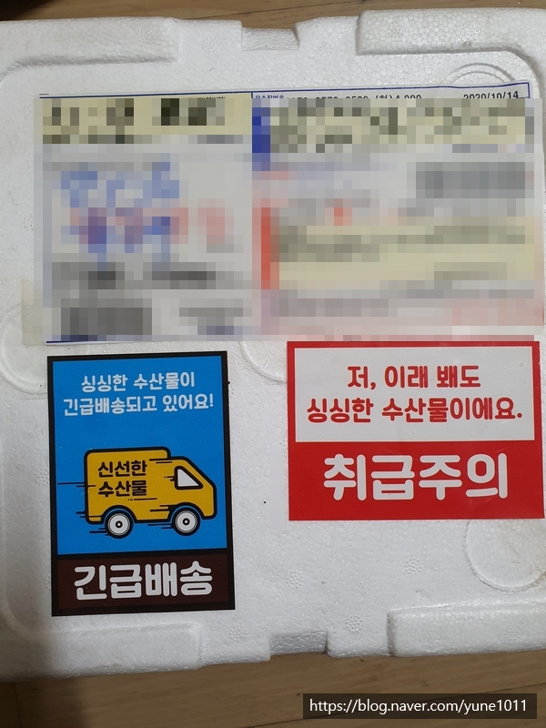 성안호 이미지