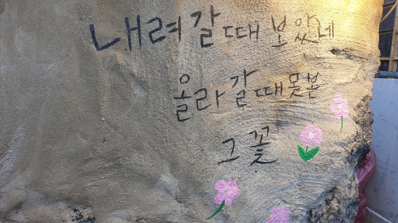 금보 이미지