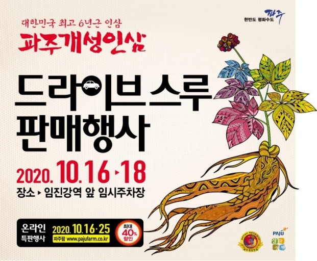 파주개성인삼 이미지