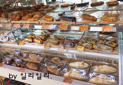 브리오슈도레언주역점 이미지