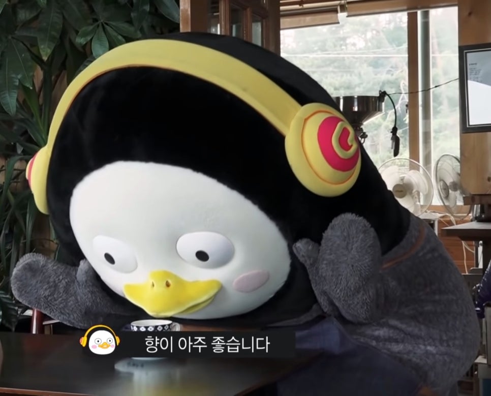 와이엠디 이미지