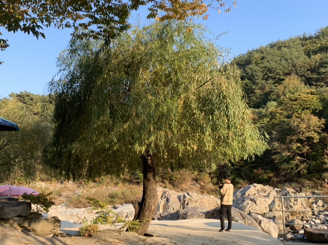 광호전기 이미지