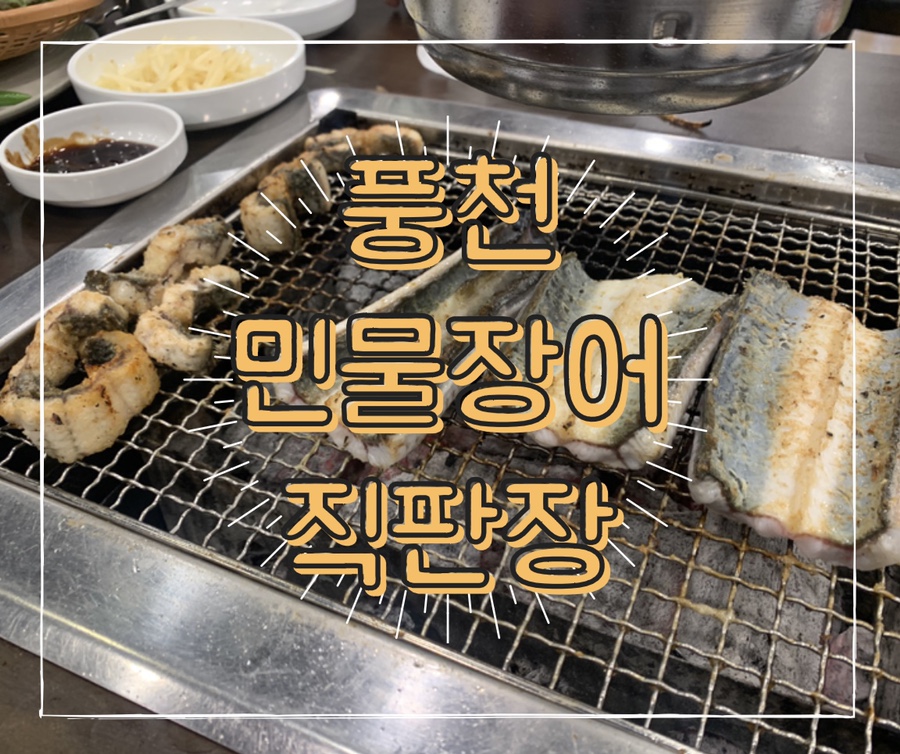 풍천민물장어도소매 이미지