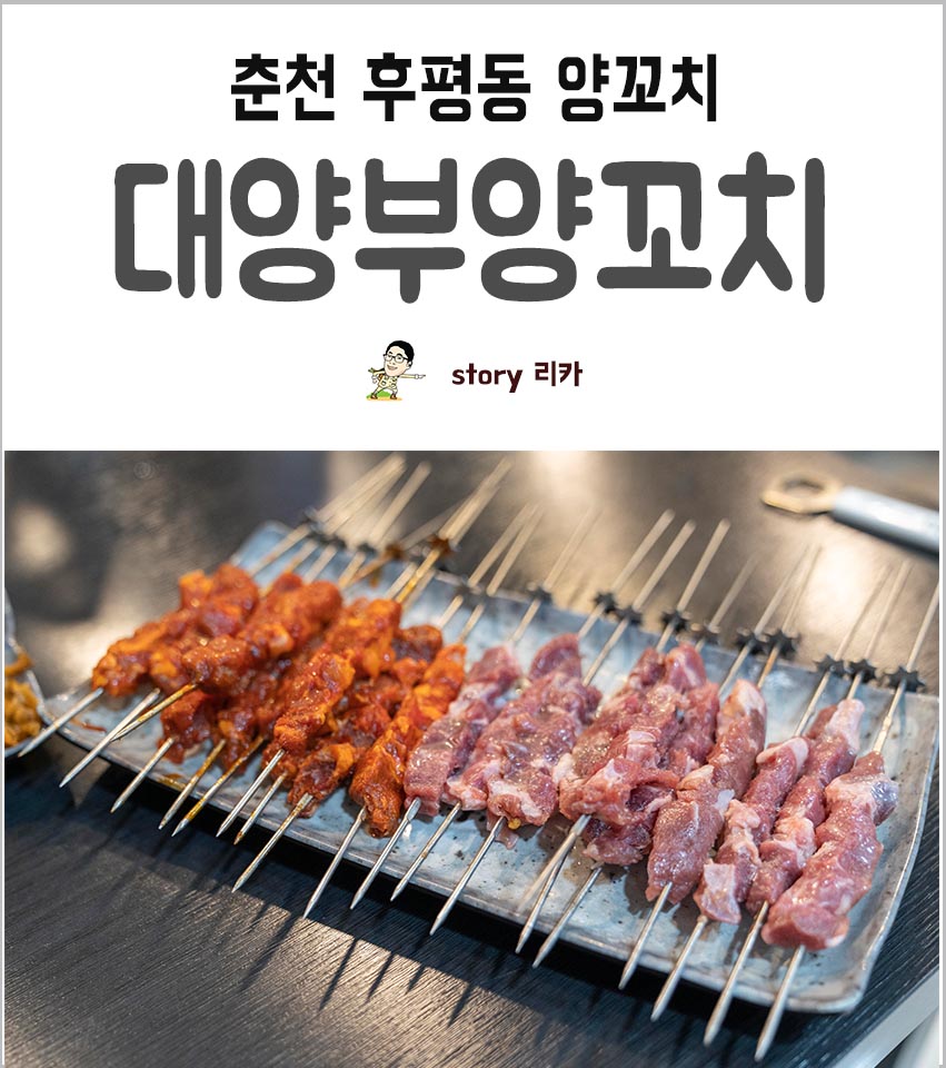 대양부양꼬치 이미지
