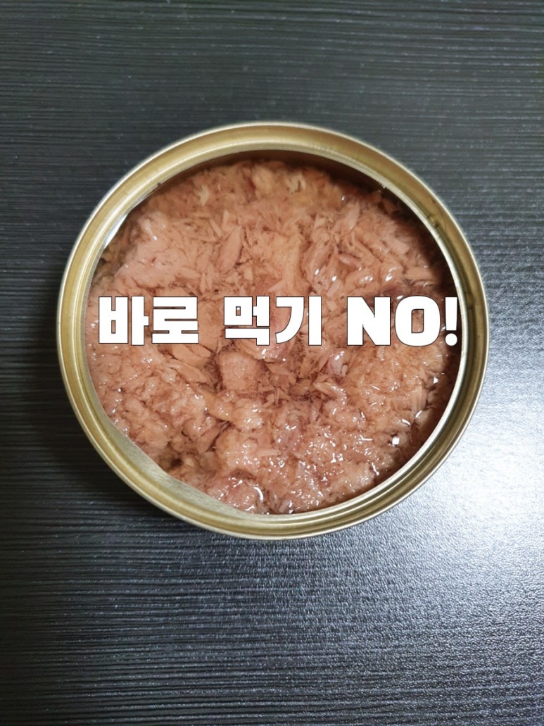 참치OK 이미지