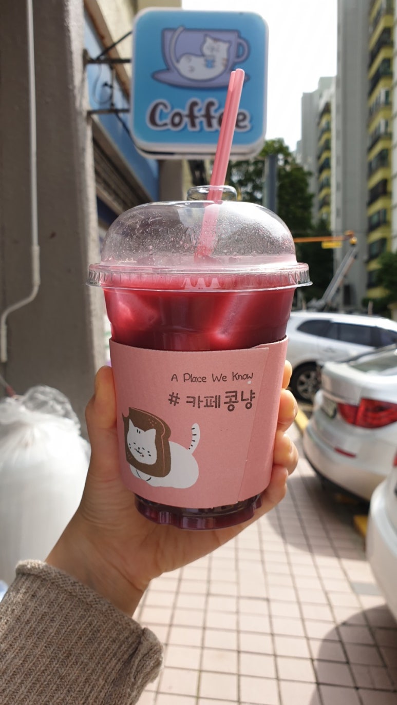 콩냥카페 이미지