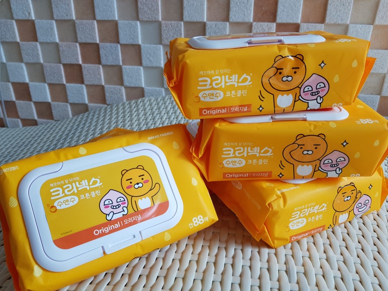 라이언클린 이미지