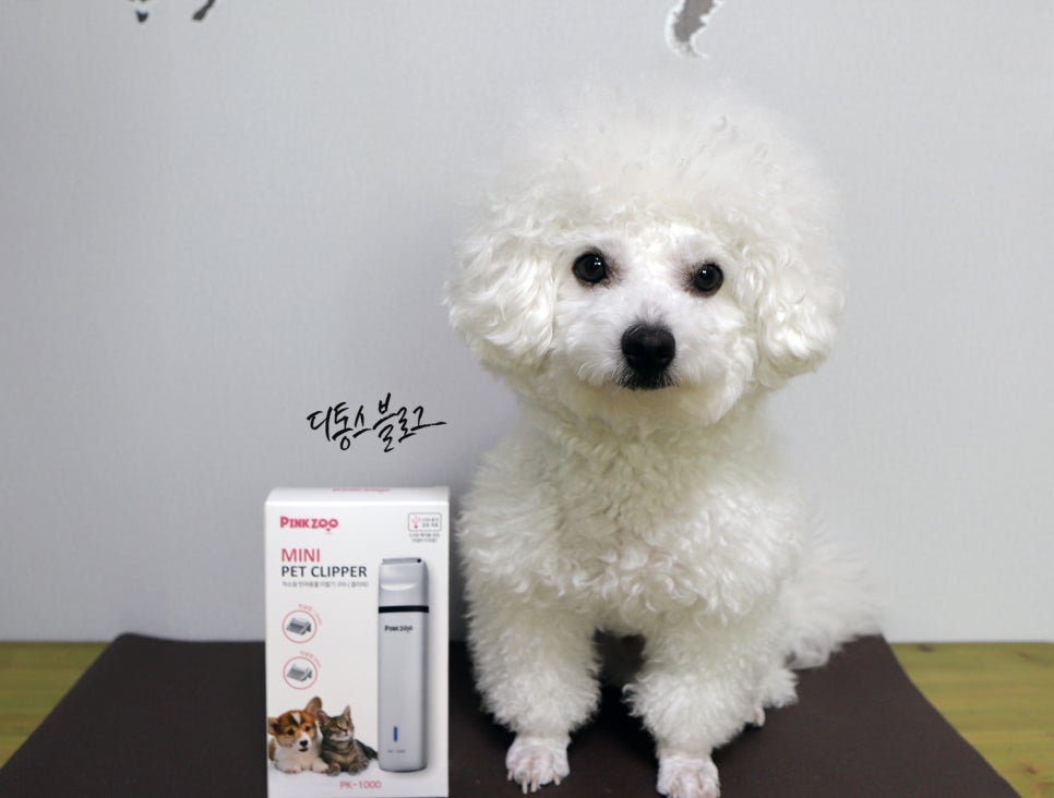 핑크바리깡 이미지