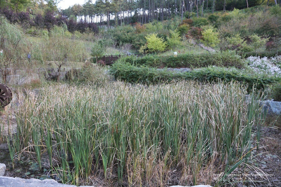 지우통상 이미지