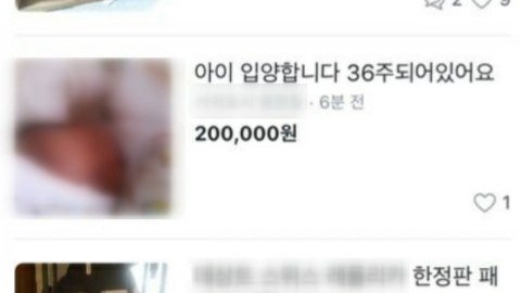 등뒤에당근 이미지
