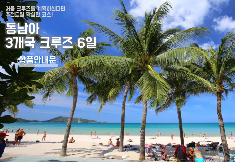 대명항공여행사 이미지