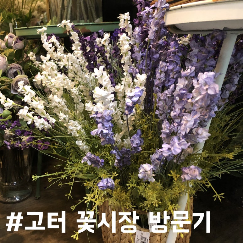 두리꽃도매 이미지
