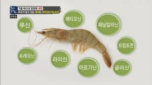 피플짐 이미지