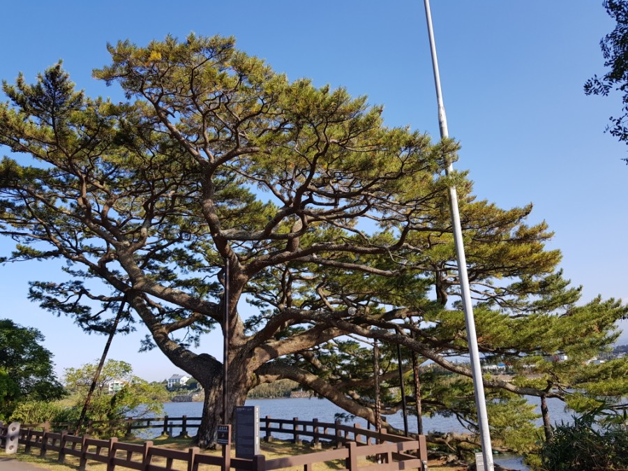 오름수산 이미지