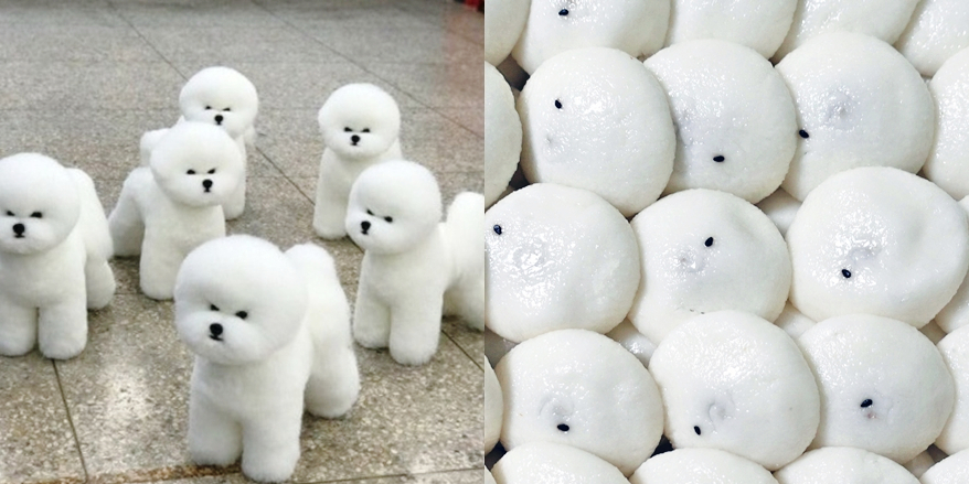야심잔기지떡 이미지