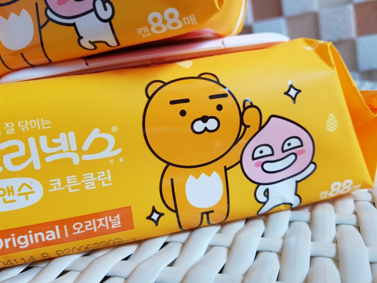 라이언클린 이미지