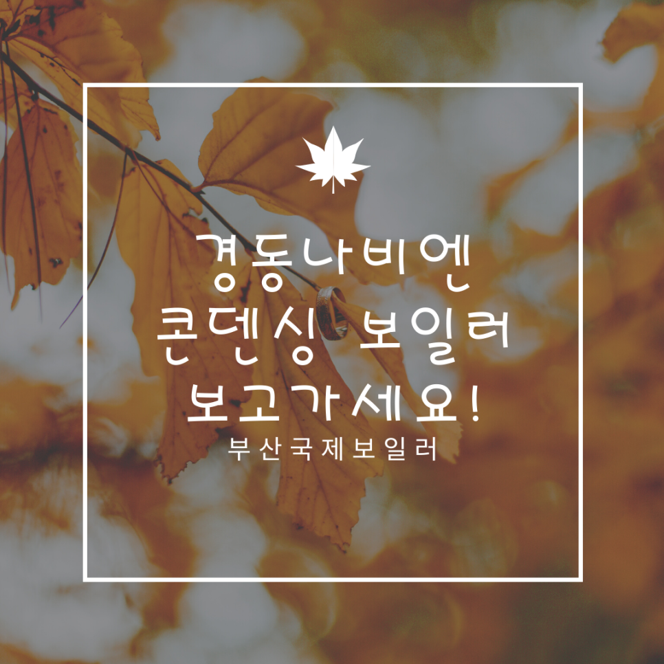 경동보일러 이미지