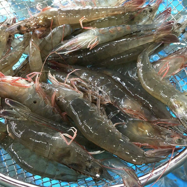 삼천포회센타 이미지