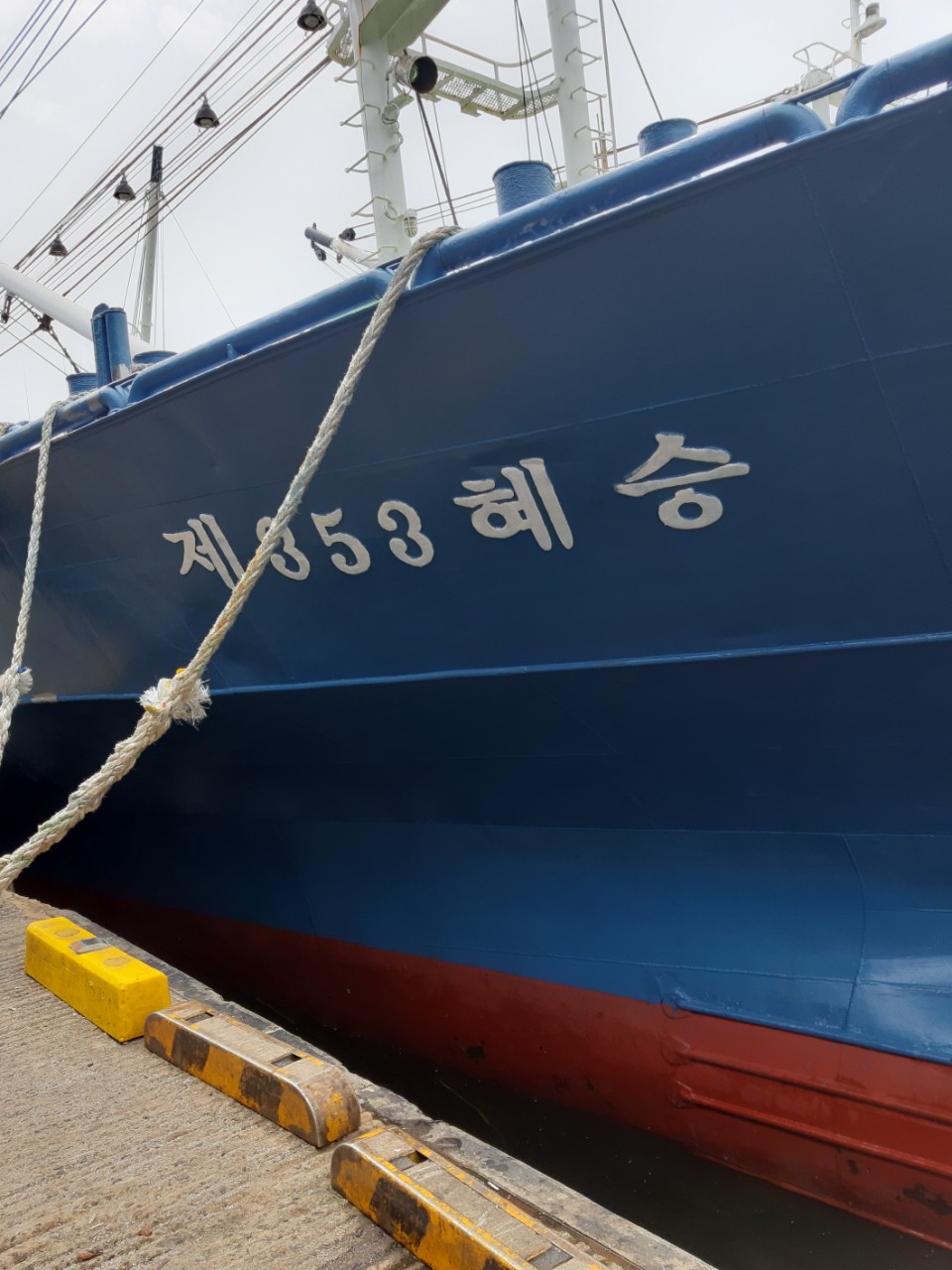 주식회사 건강마을 이미지
