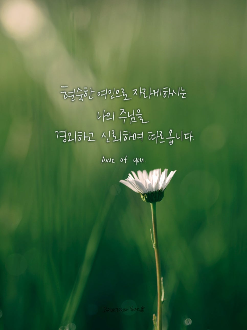 봄하우스 이미지