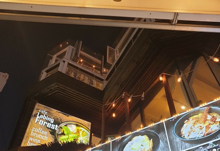 래핑포레스트 이미지
