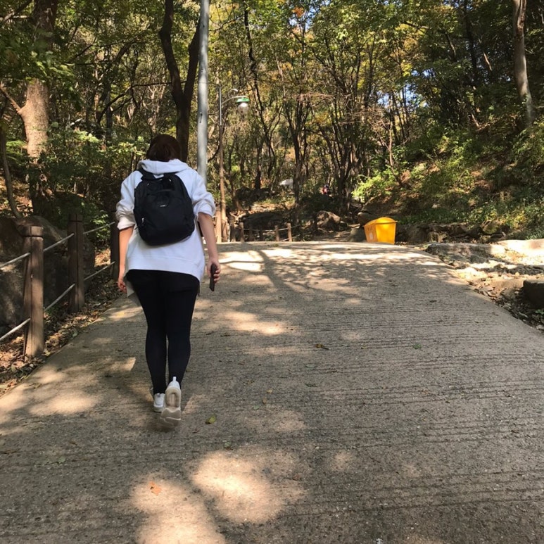 꽃길로731 이미지