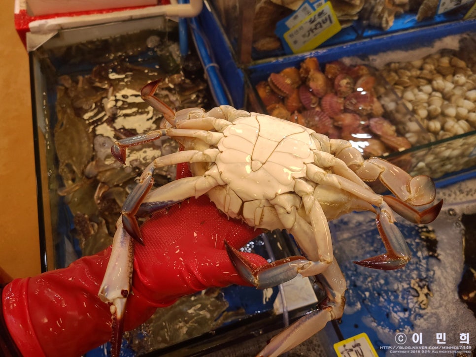 부부수산 이미지