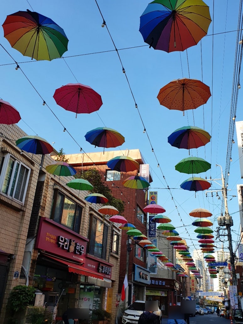 꽈배기와 동그리 이미지