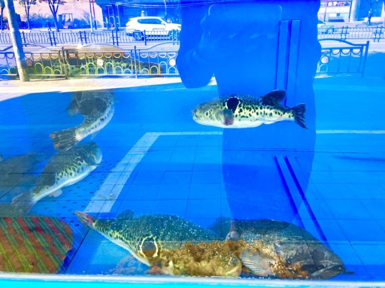 복먹고복받고(구로점) 이미지