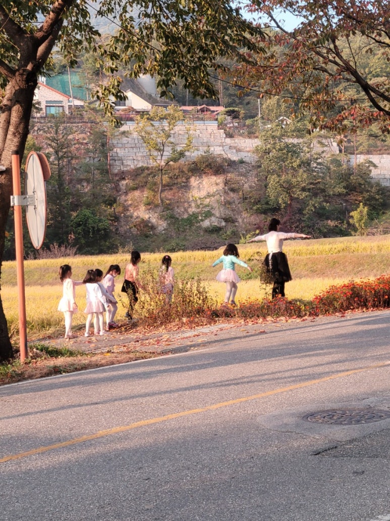 테바댄스시어터 이미지