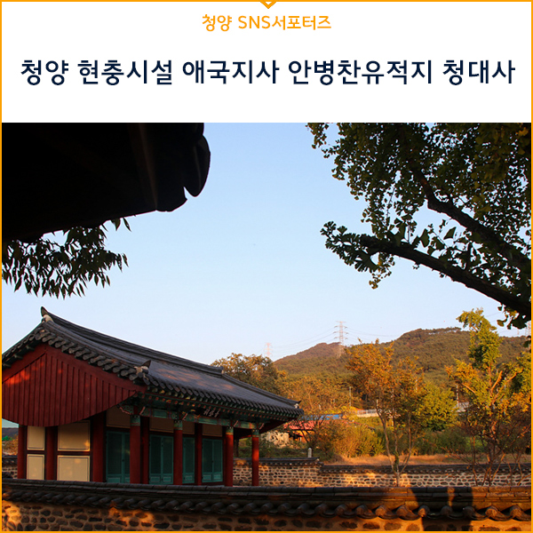 청대사 이미지