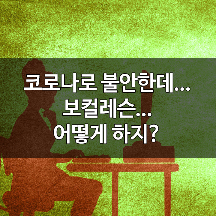 프로보컬인스티튜트 이미지