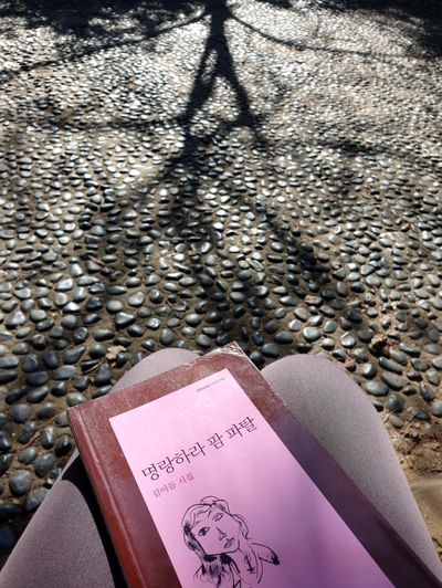명랑팜 이미지
