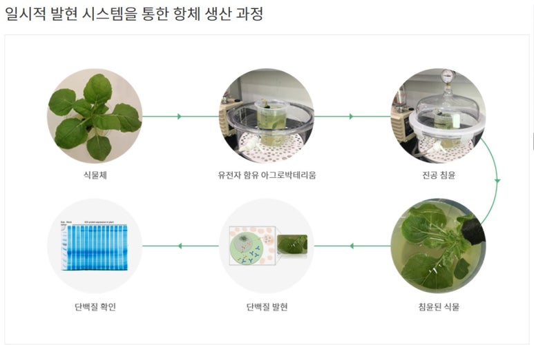 지플러스 이미지