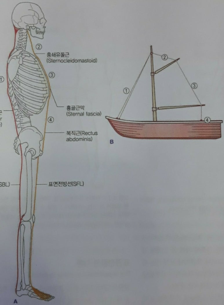 나봄 이미지
