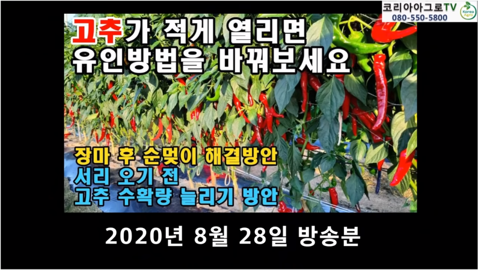 풍년농약종묘사 이미지