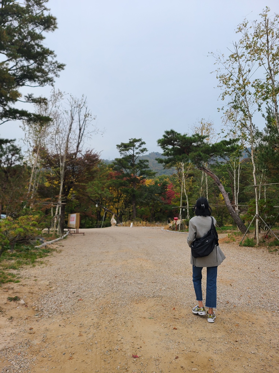 포시즌어데이 이미지