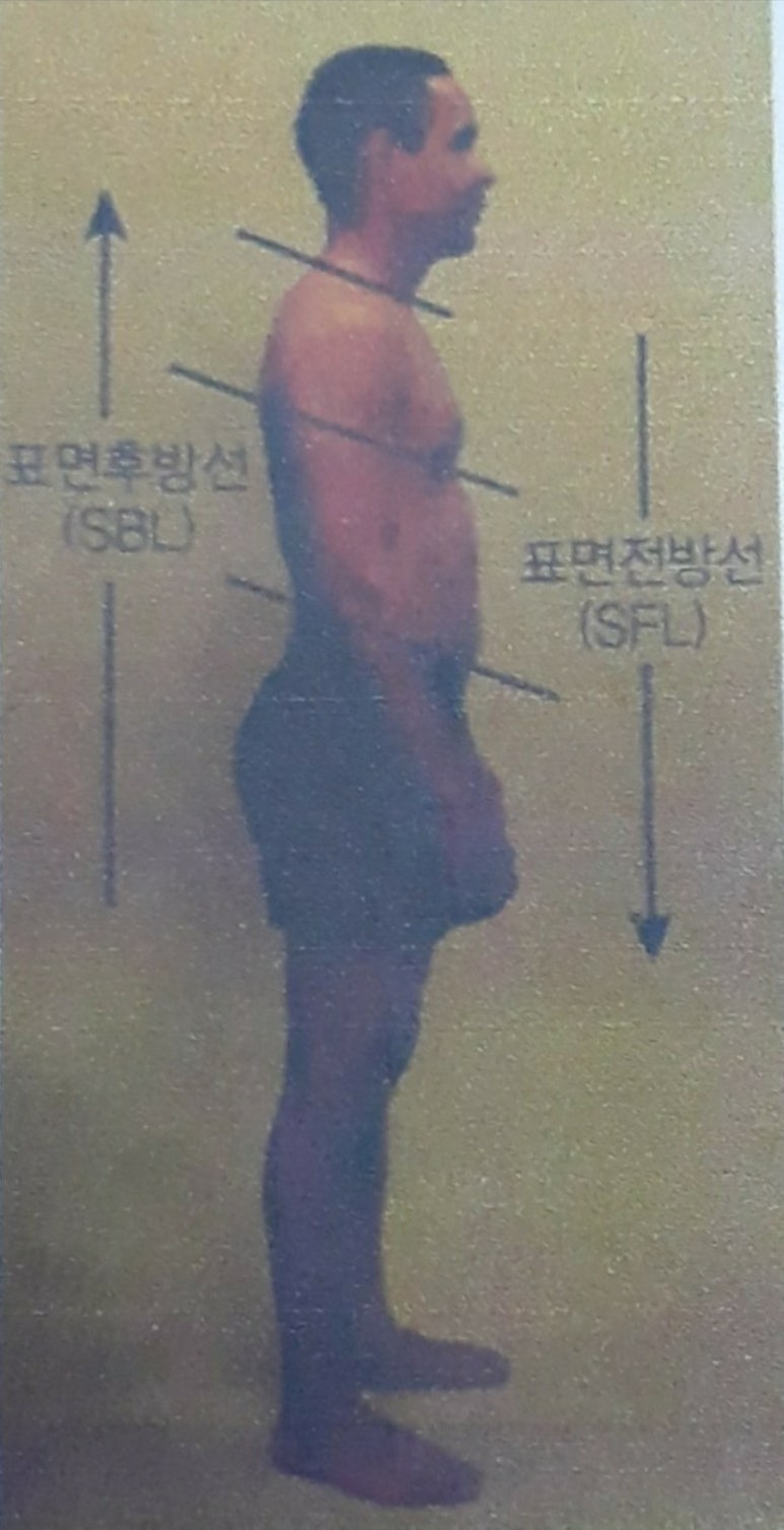 나봄 이미지