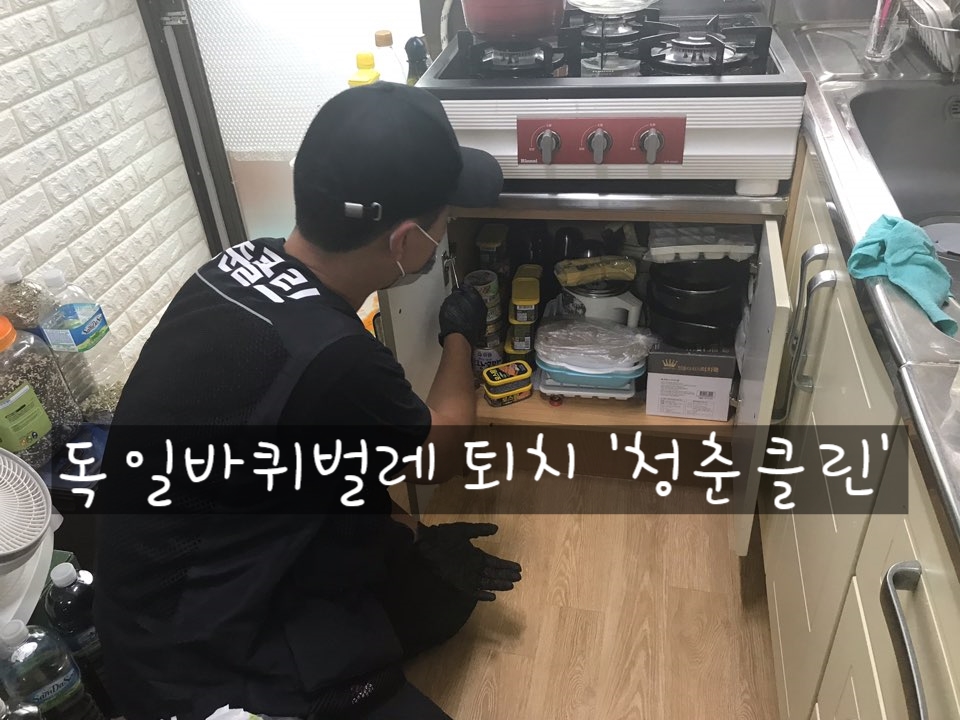 청춘클린 이미지