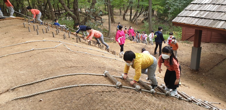 도음산 유아숲체험원 이미지