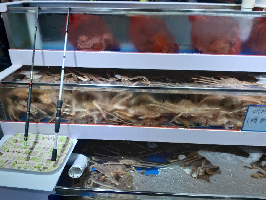 방가대게 이미지