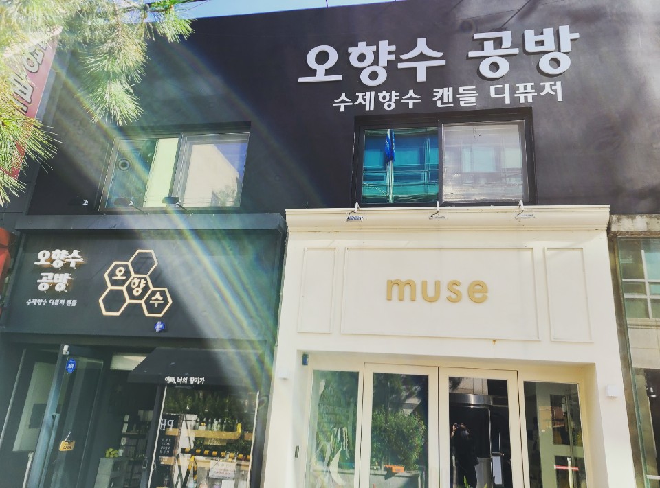 오향수 이미지