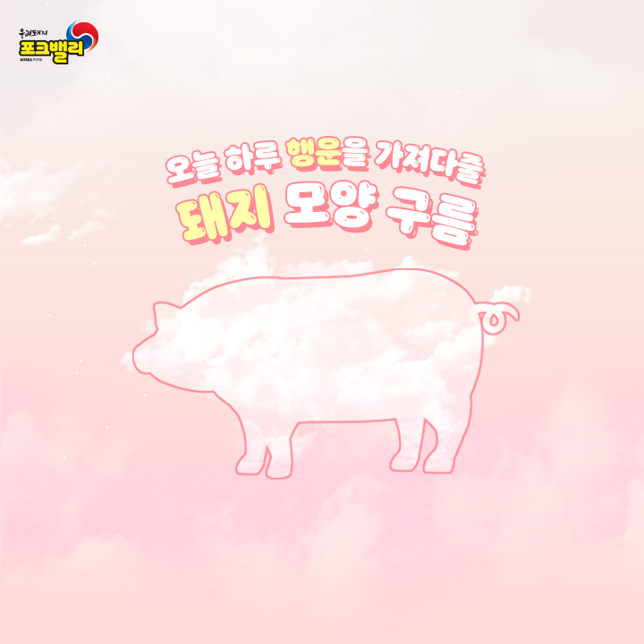 행운돼지 이미지