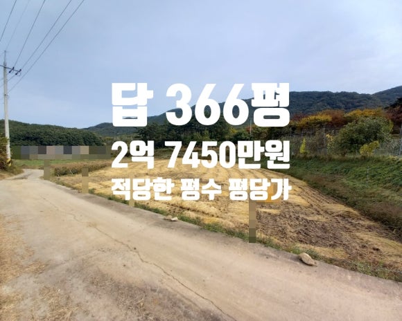 황금텃밭농장 이미지