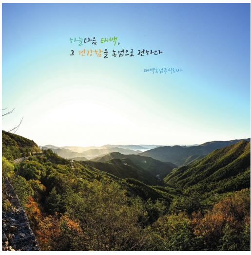 농업회사법인 산채만 주식회사 이미지