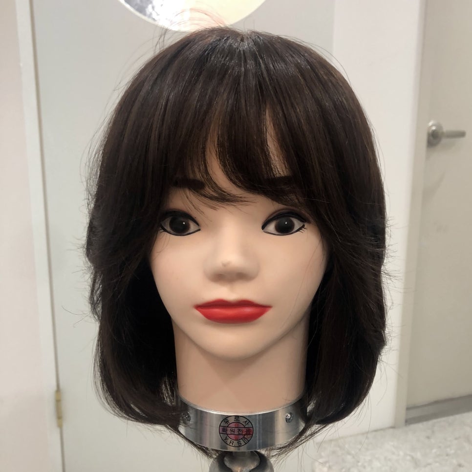 헤어쇼앤위그 이미지