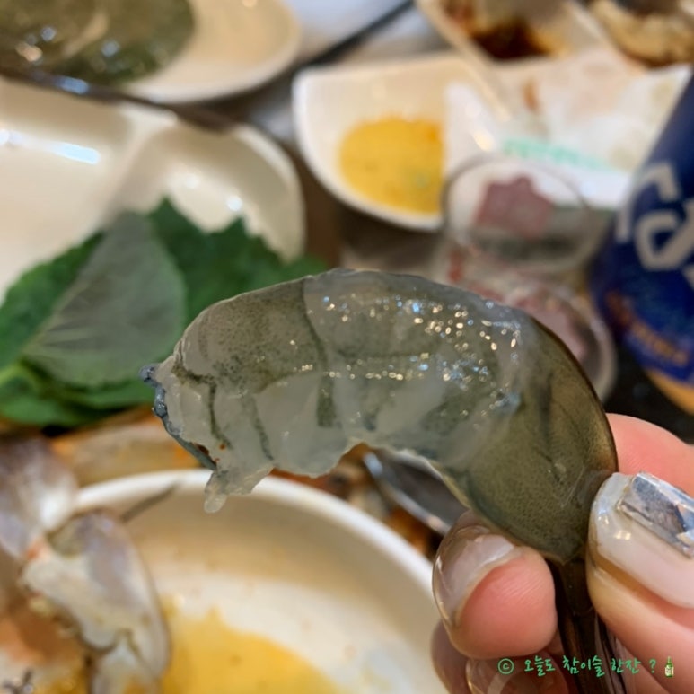 머구리오빠야 이미지