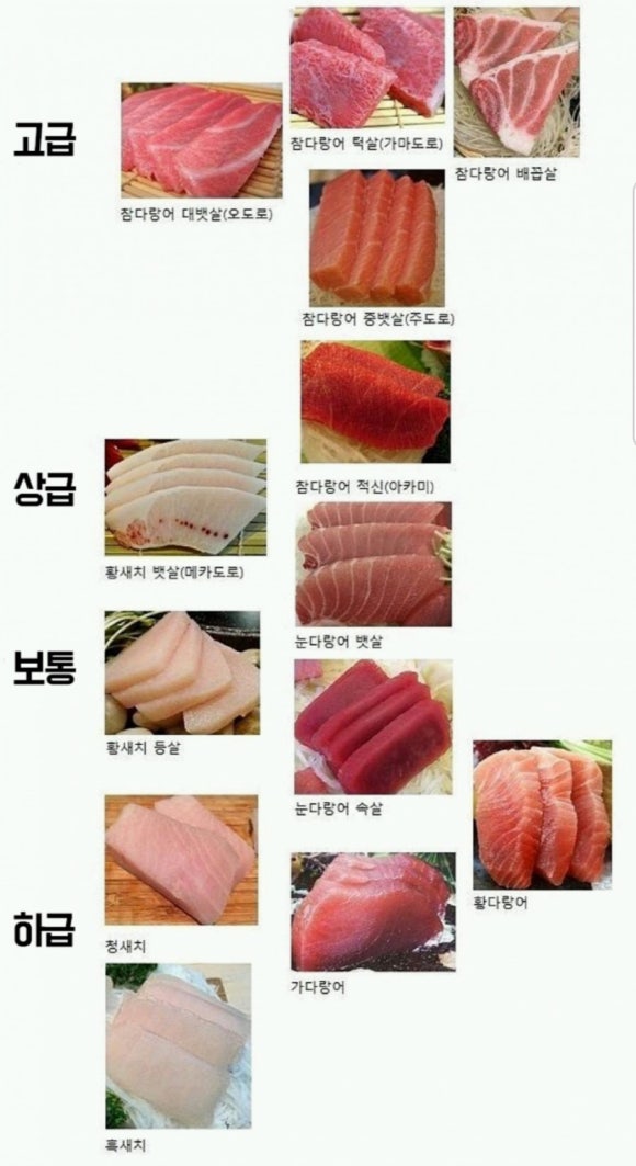 참치마을 이미지