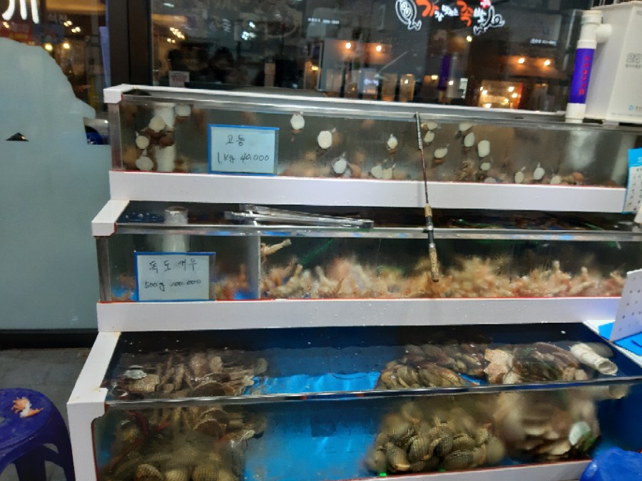 방가대게 이미지