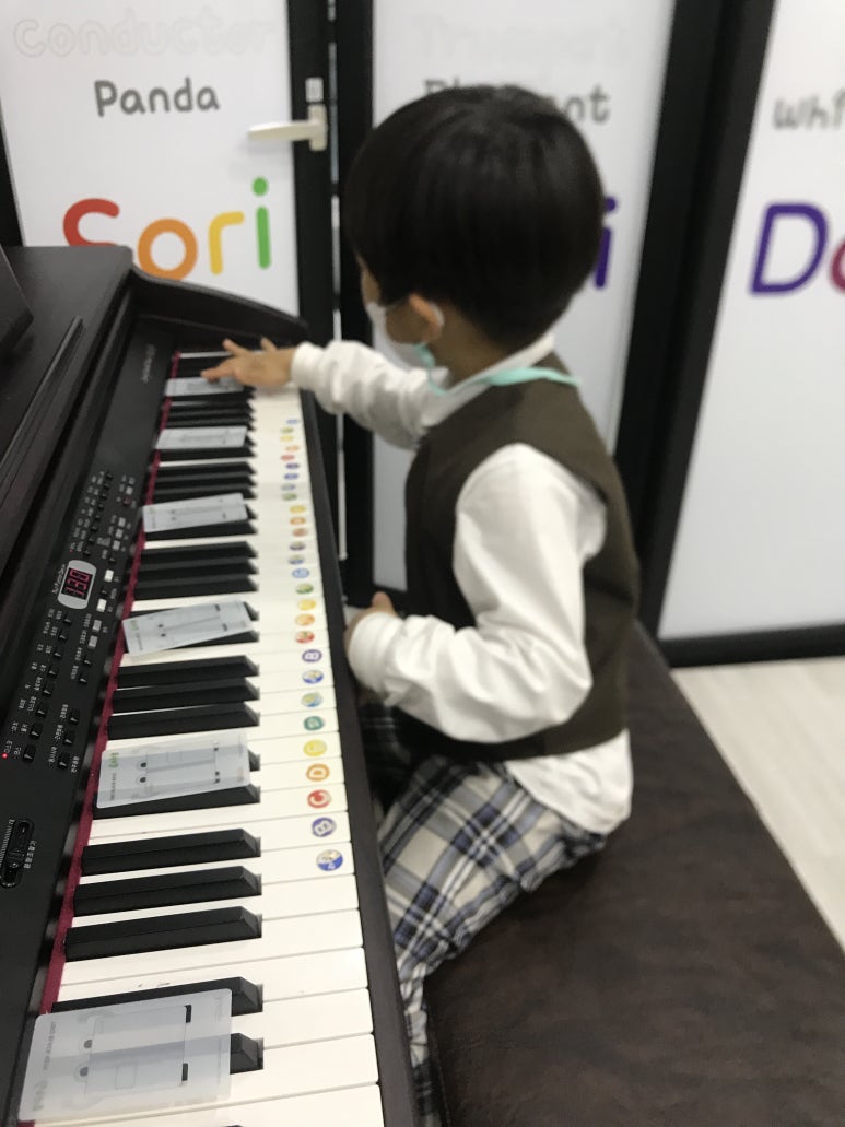 노리(음악)노래 이미지